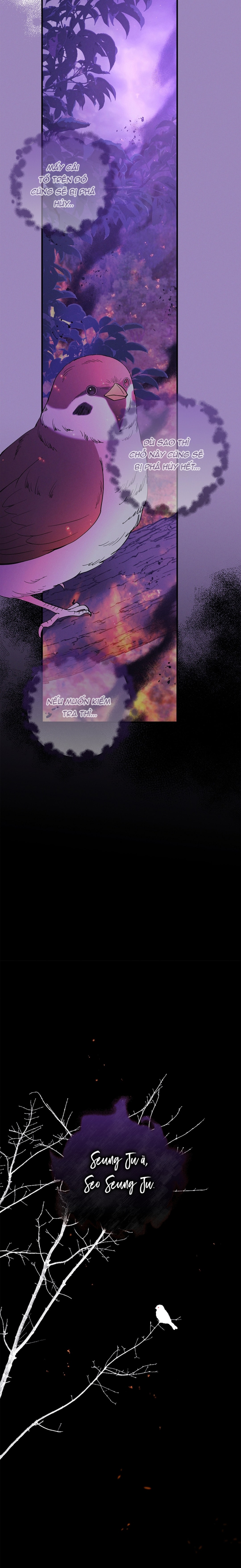 Màn Đêm Bất Tận - Chap 37