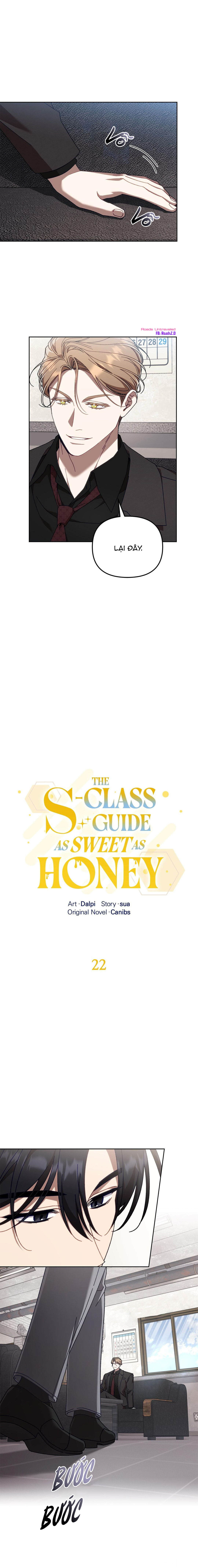 S Class Guide As Sweet As Honey - Chap 22