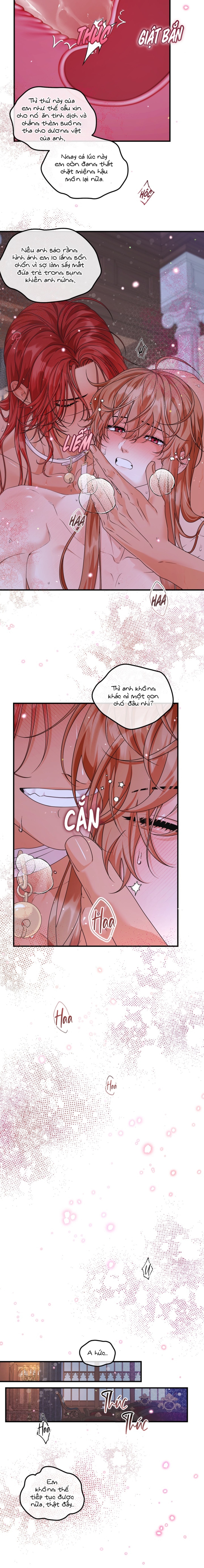 Bá Tước Beta Biến Đổi Thành Omega - Chap 19 Extra 2025 - 19+