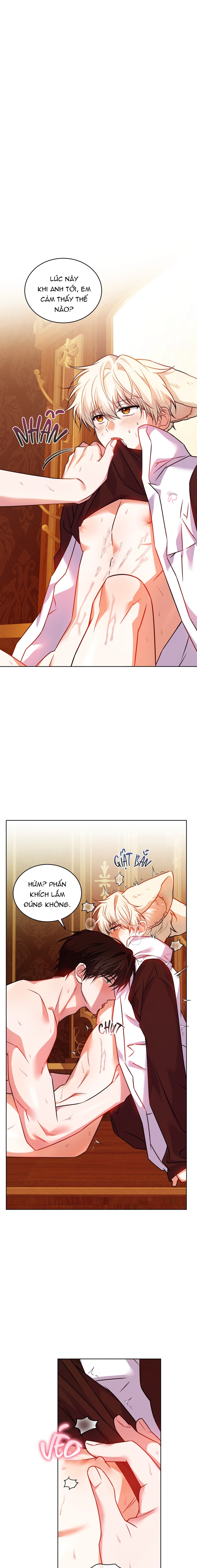 Thức Uống Tình Yêu Của Flynn - Chap 35 - 19+