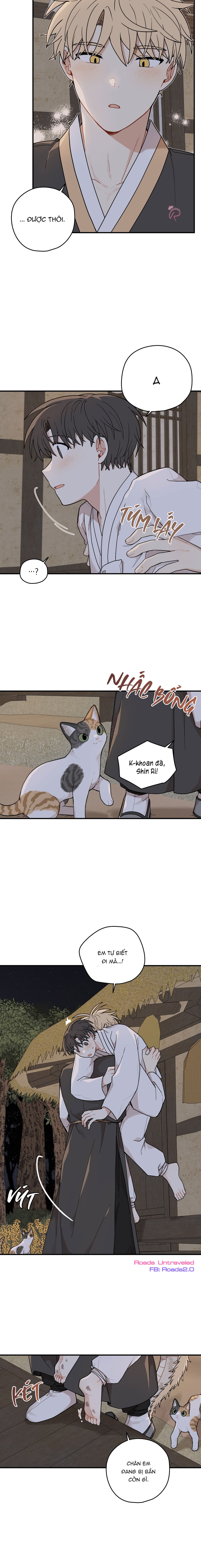 Dưới Tán Hoa Liên Kiều - Chap SIDE 1 - 19+