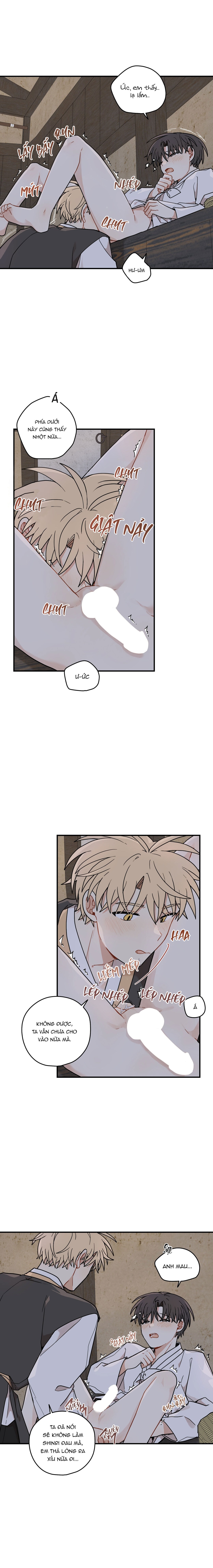 Dưới Tán Hoa Liên Kiều - Chap SIDE 1 - 19+