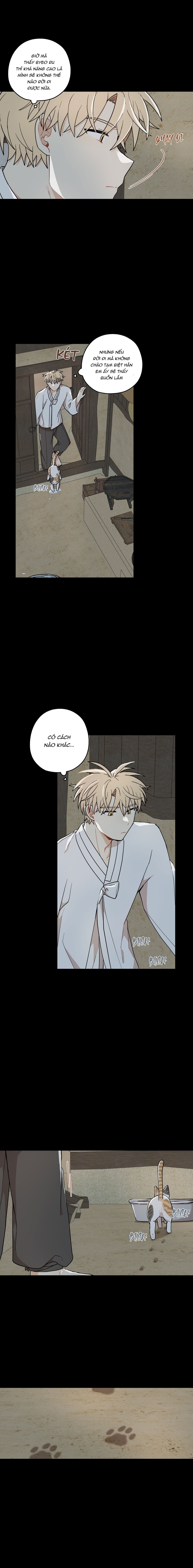 Dưới Tán Hoa Liên Kiều - Chap SIDE 2