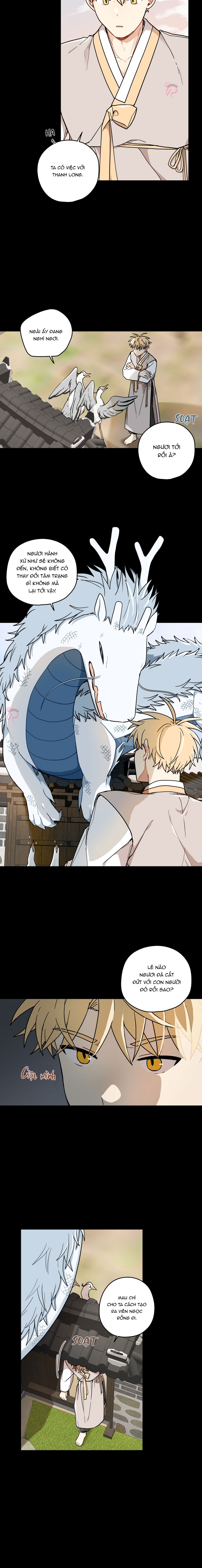 Dưới Tán Hoa Liên Kiều - Chap SIDE 2