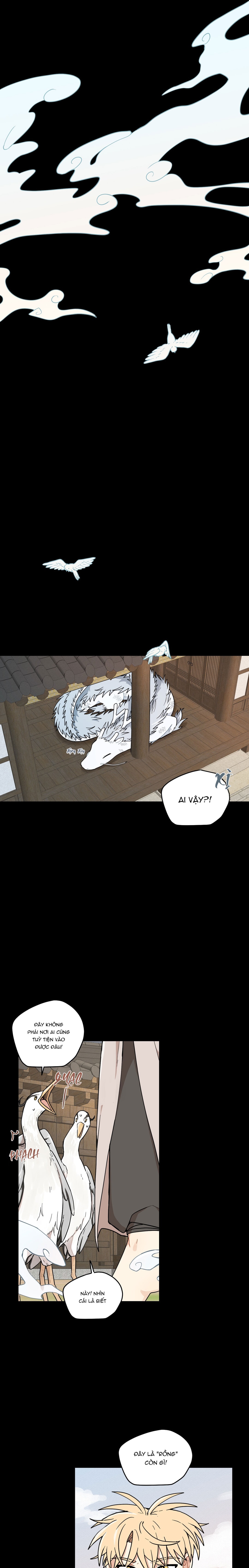 Dưới Tán Hoa Liên Kiều - Chap SIDE 2