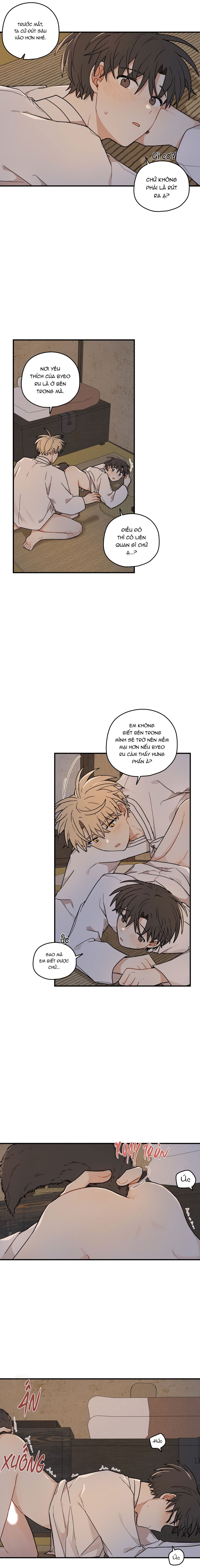 Dưới Tán Hoa Liên Kiều - Chap SIDE 6 - 19+