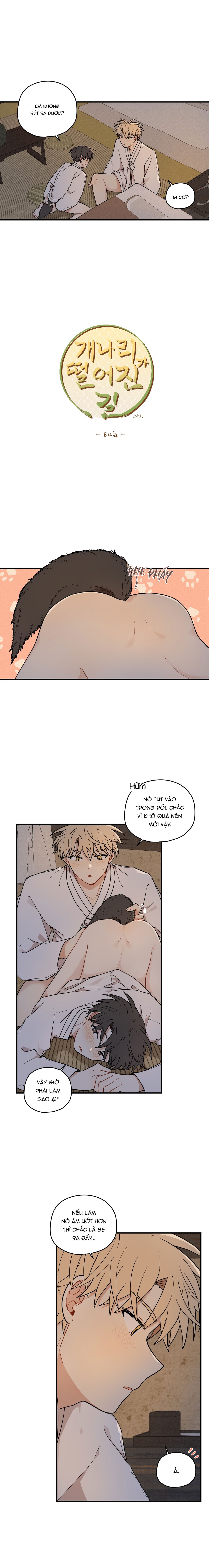 Dưới Tán Hoa Liên Kiều - Chap SIDE 6 - 19+