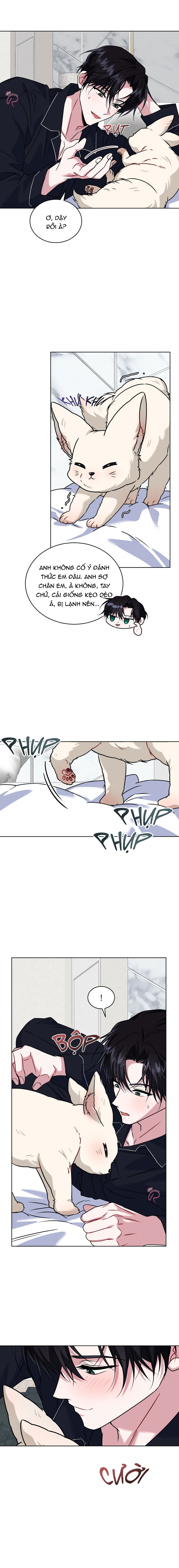 Thức Uống Tình Yêu Của Flynn - Chap 46