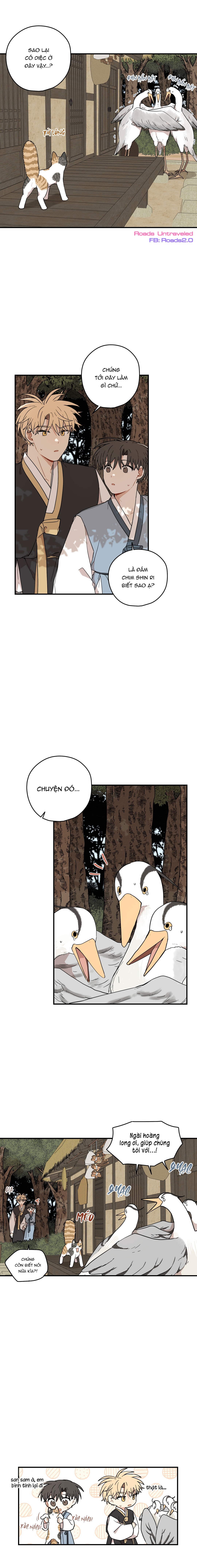 Dưới Tán Hoa Liên Kiều - Chap SIDE 8