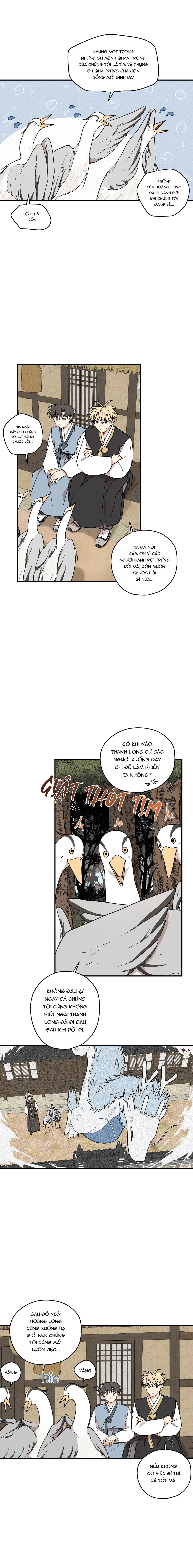 Dưới Tán Hoa Liên Kiều - Chap SIDE 8