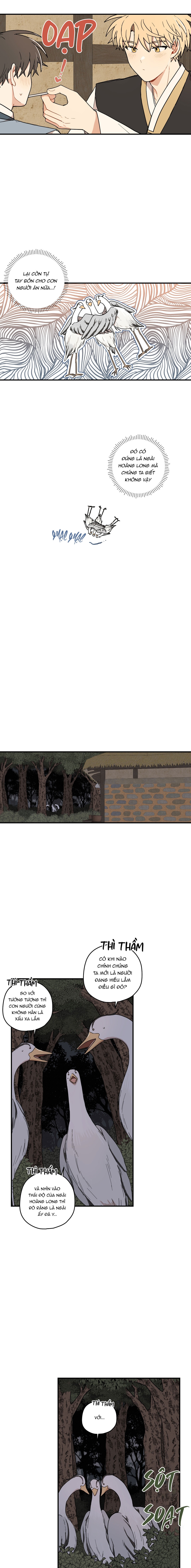 Dưới Tán Hoa Liên Kiều - Chap SIDE 8