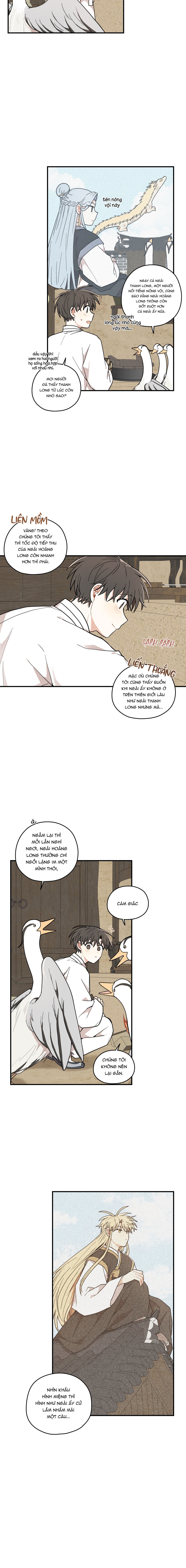 Dưới Tán Hoa Liên Kiều - Chap SIDE 9