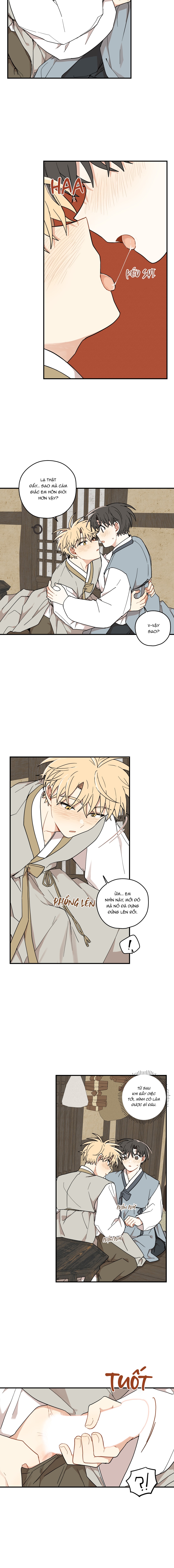 Dưới Tán Hoa Liên Kiều - Chap SIDE 11 - 19+