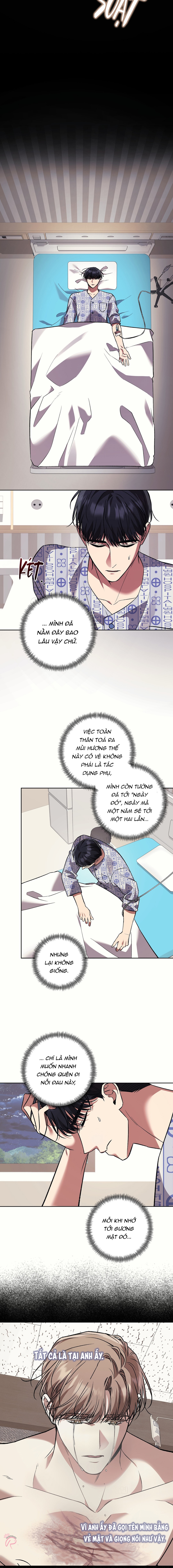 S Class Guide As Sweet As Honey - Chap 75