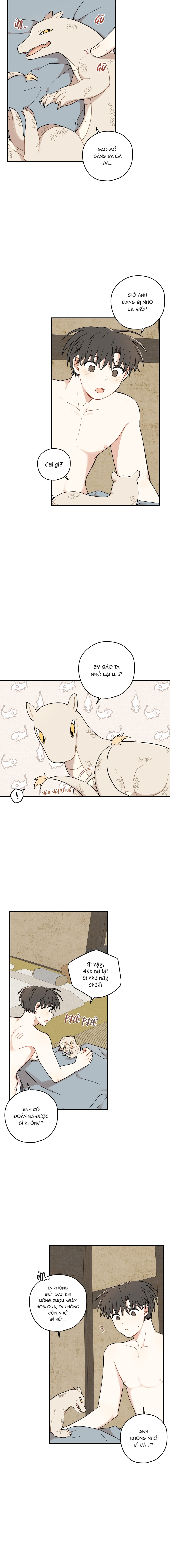 Dưới Tán Hoa Liên Kiều - Chap SIDE 14 - 19+