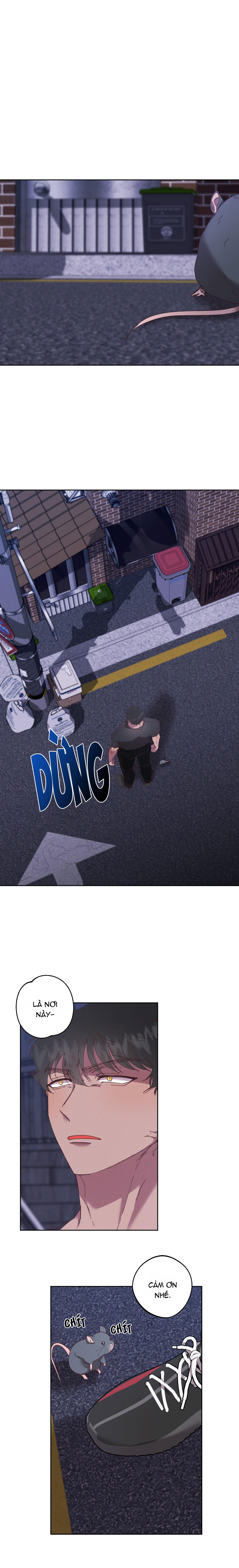 Tiếng Xuân Về Bên Anh - Chap 28