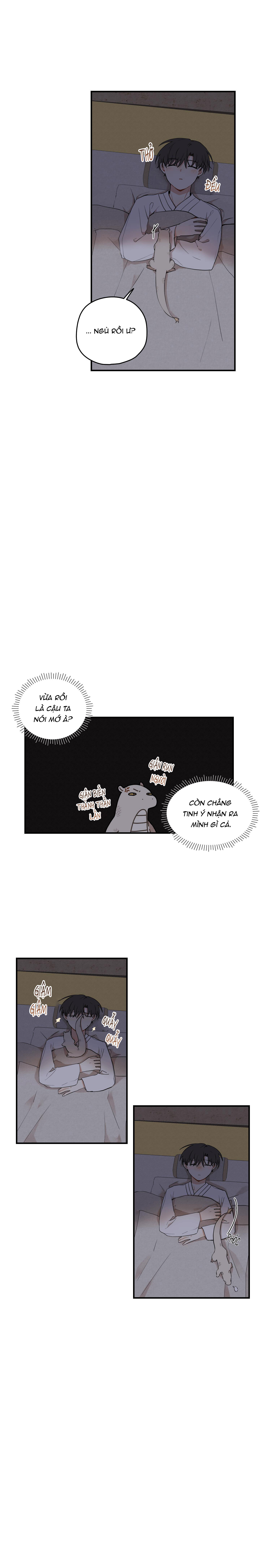 Dưới Tán Hoa Liên Kiều - Chap 28 - Ngoại truyện 1