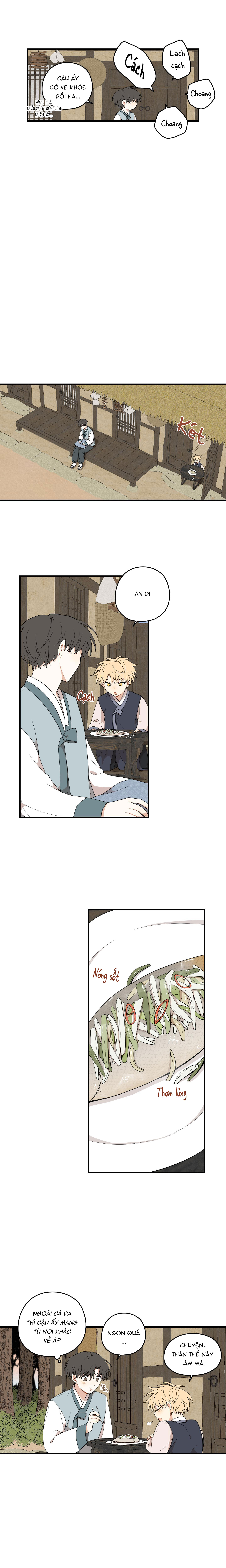 Dưới Tán Hoa Liên Kiều - Chap 30 - Ngoại truyện 3