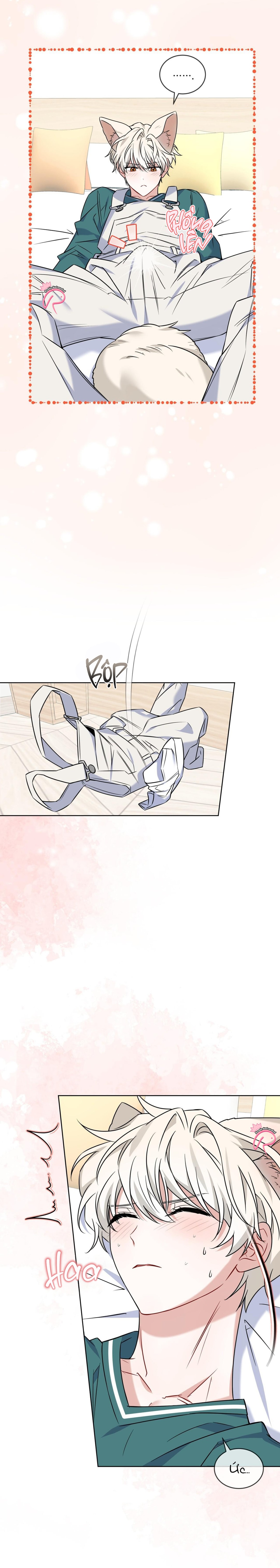 Thức Uống Tình Yêu Của Flynn - Chap 6 - 19+