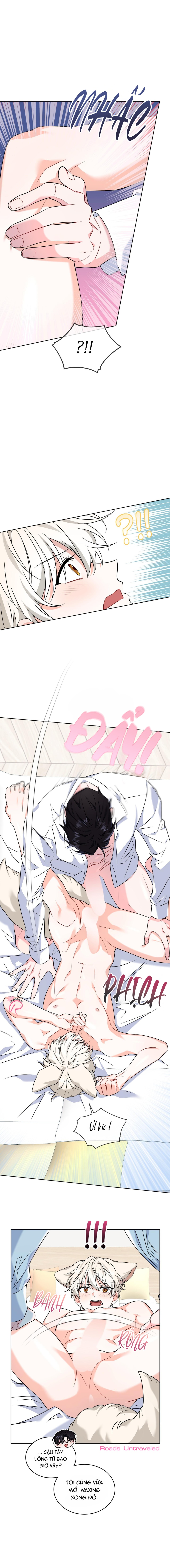 Thức Uống Tình Yêu Của Flynn - Chap 8 - 19+