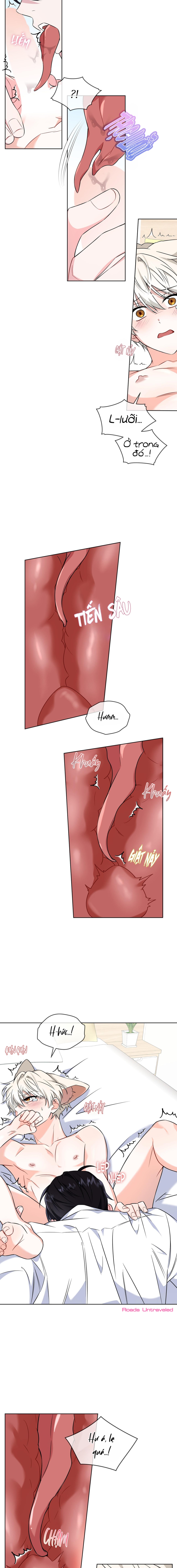 Thức Uống Tình Yêu Của Flynn - Chap 8 - 19+