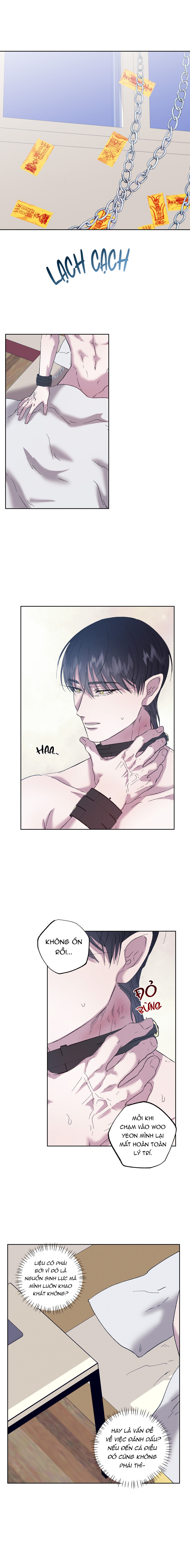 Tiếng Xuân Về Bên Anh - Chap 54