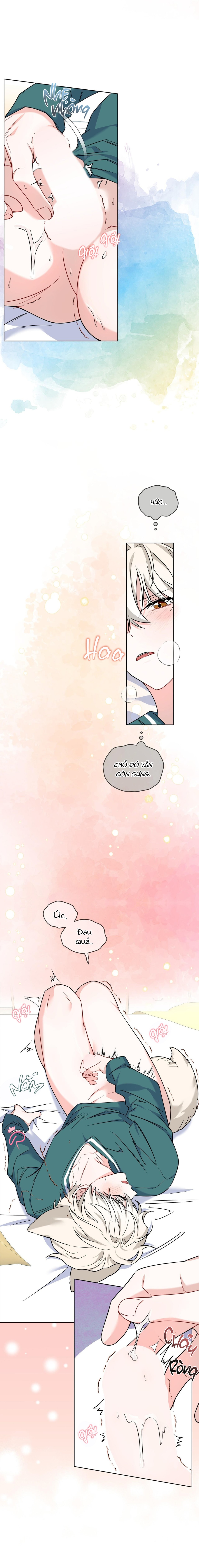 Thức Uống Tình Yêu Của Flynn - Chap 6 - 19+