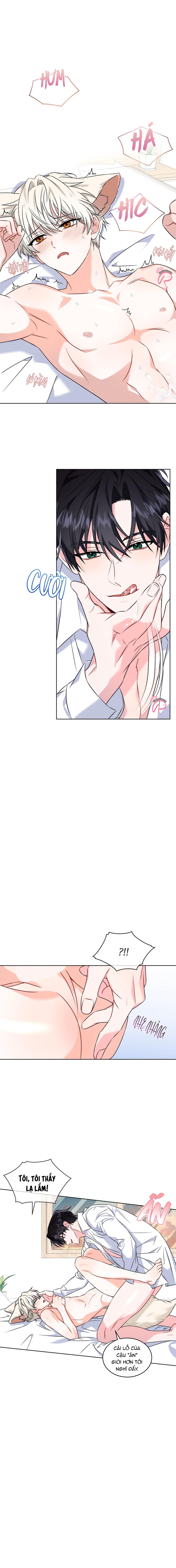 Thức Uống Tình Yêu Của Flynn - Chap 8 - 19+